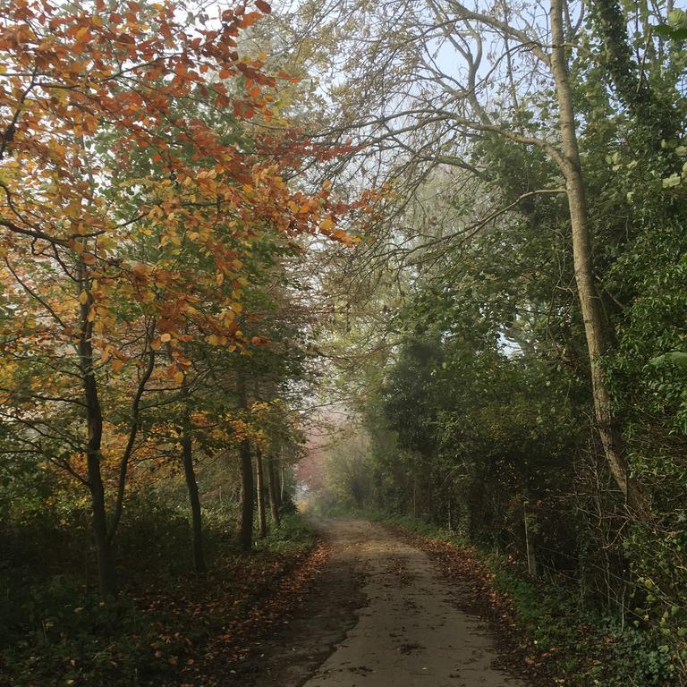 Pathways, Beachwood Cottage Бат Екстериор снимка