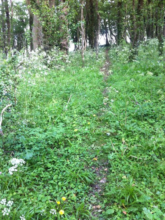 Pathways, Beachwood Cottage Бат Екстериор снимка