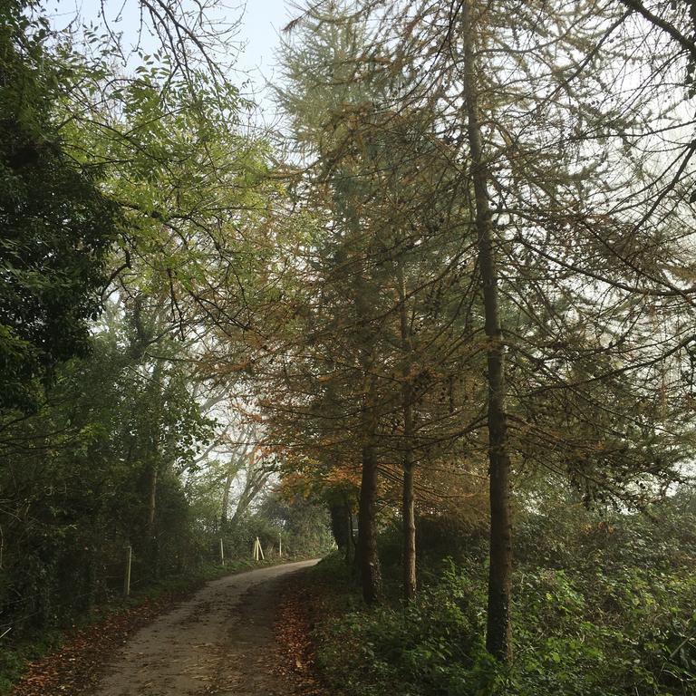 Pathways, Beachwood Cottage Бат Екстериор снимка